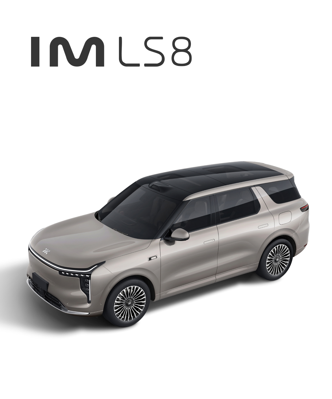 LS8